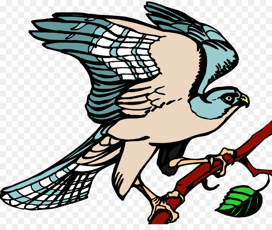 Aves，Vertebrados PNG