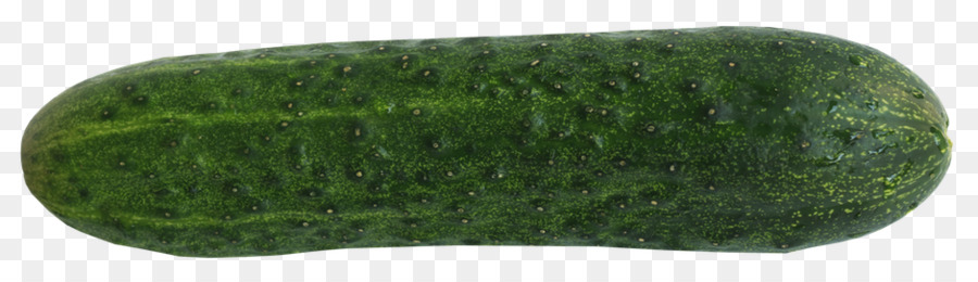 Pepino，Verde PNG