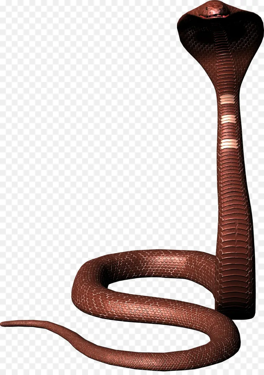 Cobra，Répteis PNG