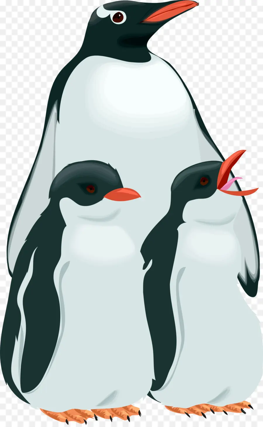 Pinguins，Pássaros PNG