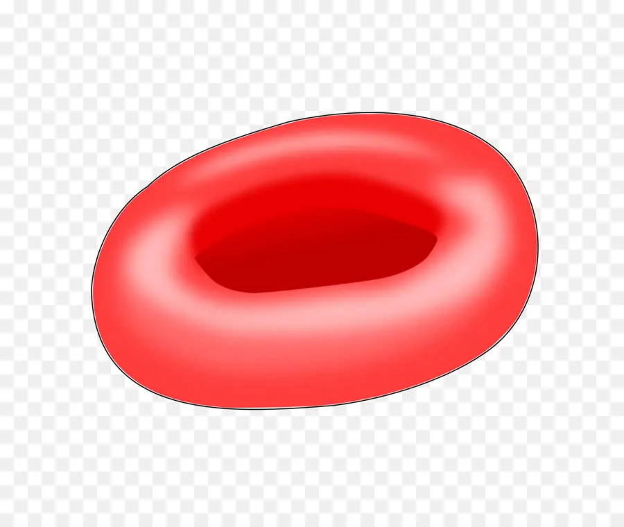 Células Vermelhas Do Sangue，Células Do Sangue PNG