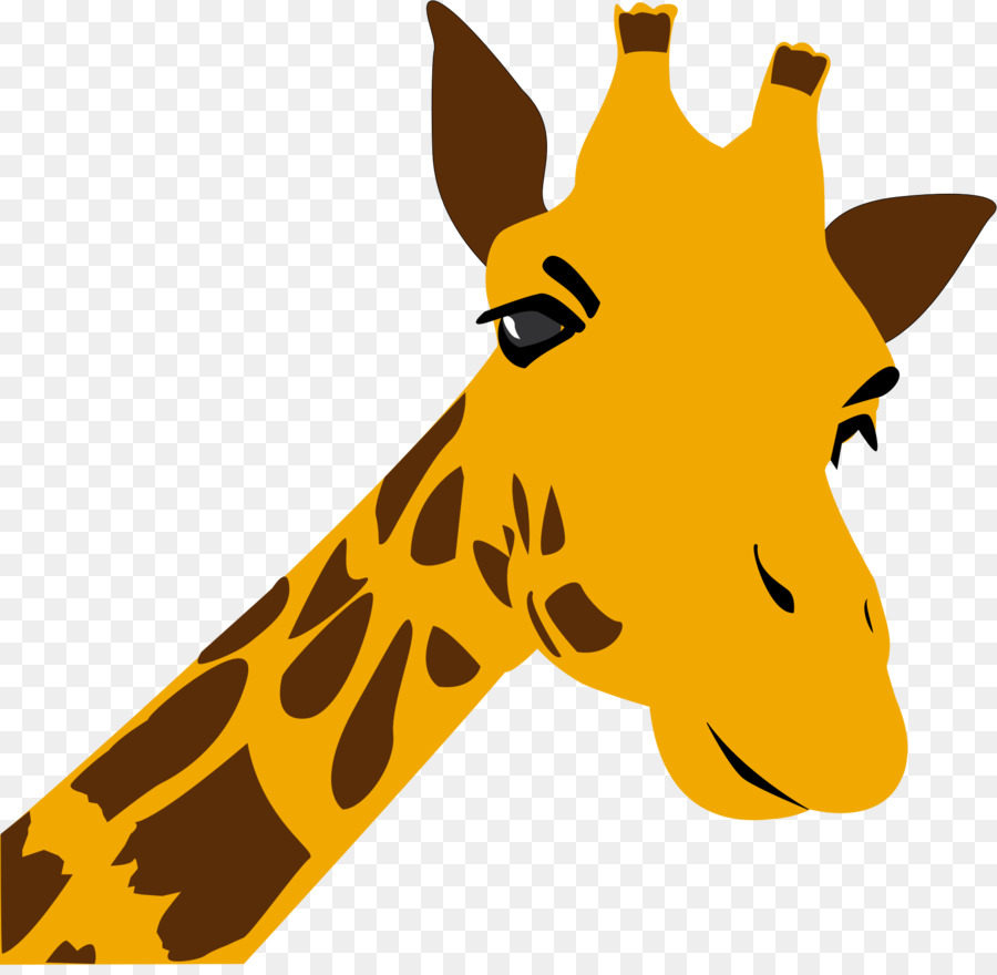 Girafa，Pontos PNG