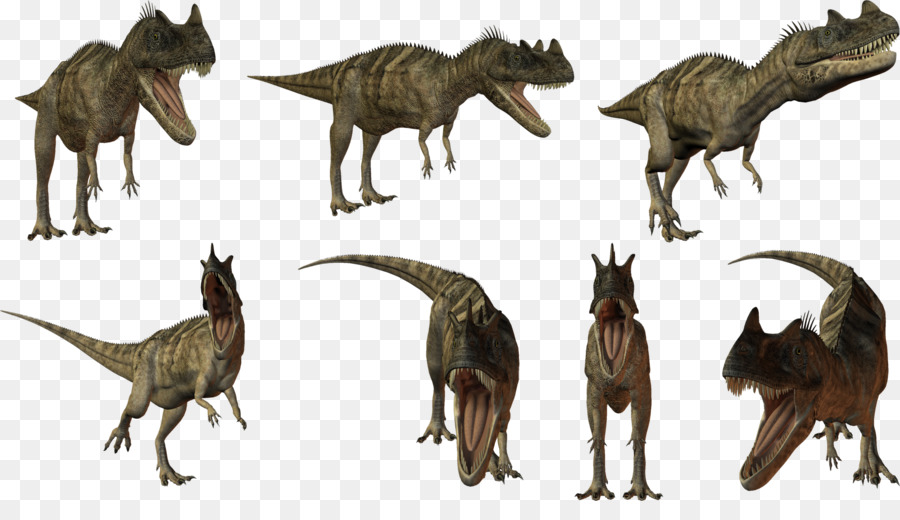 Dinossauros，Tiranossauro Rex PNG