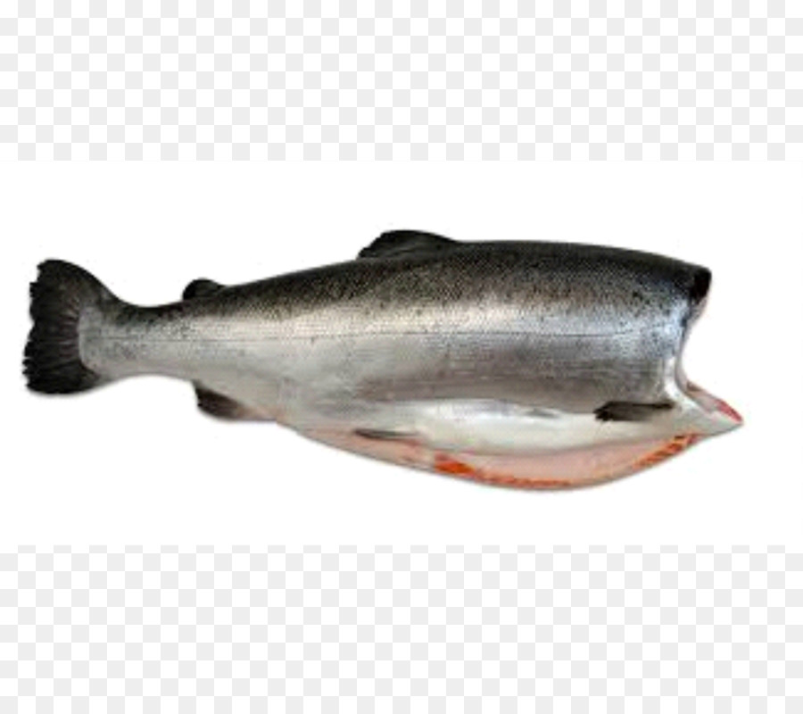 Salmão，Peixe PNG