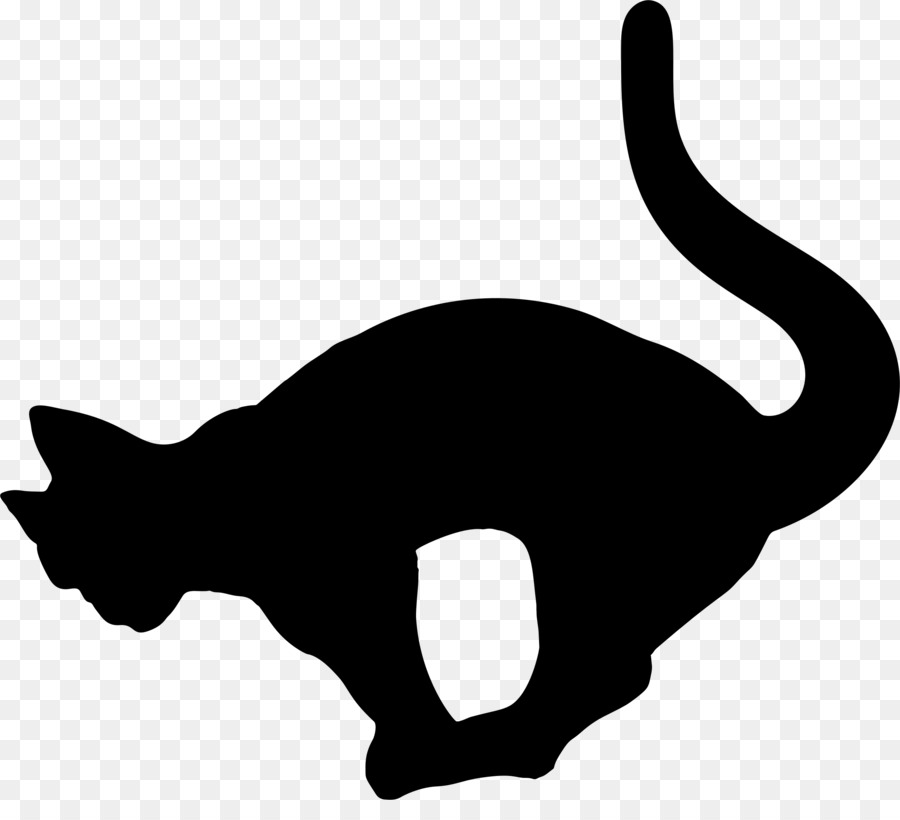 Gato Preto，Felino PNG