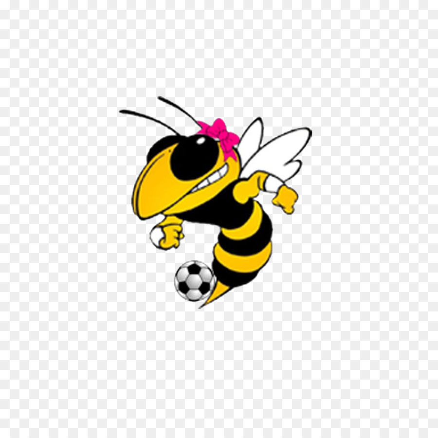 Instituto De Tecnologia Da Geórgia，Georgia Tech Yellow Jackets Futebol PNG