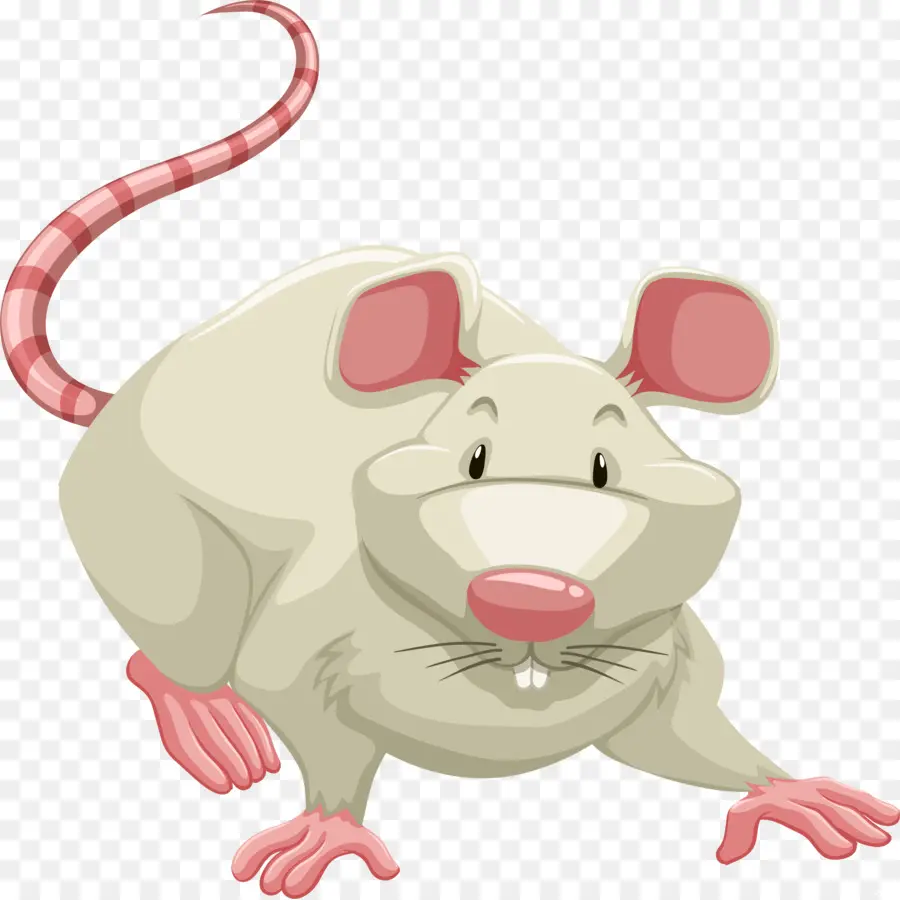 Rato Fofo，Desenho Animado PNG