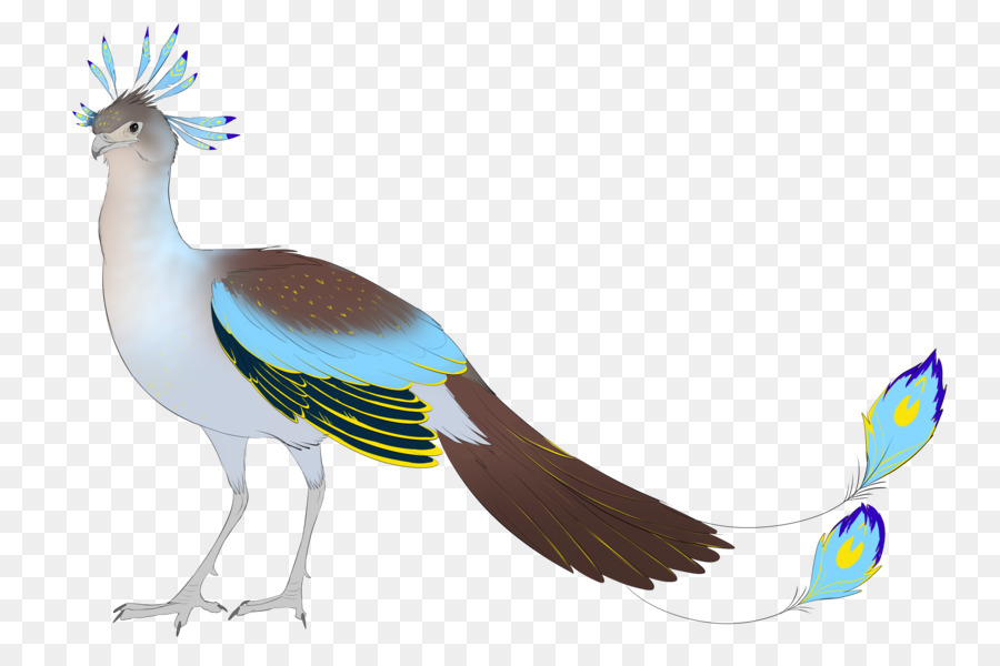 Aves，Galliformes PNG