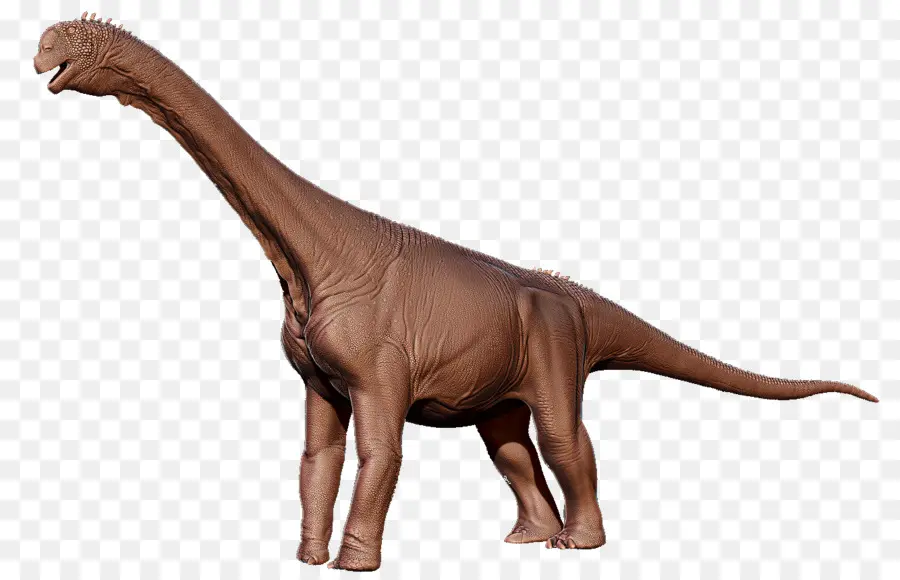 Camarasaurus，Dinossauro PNG
