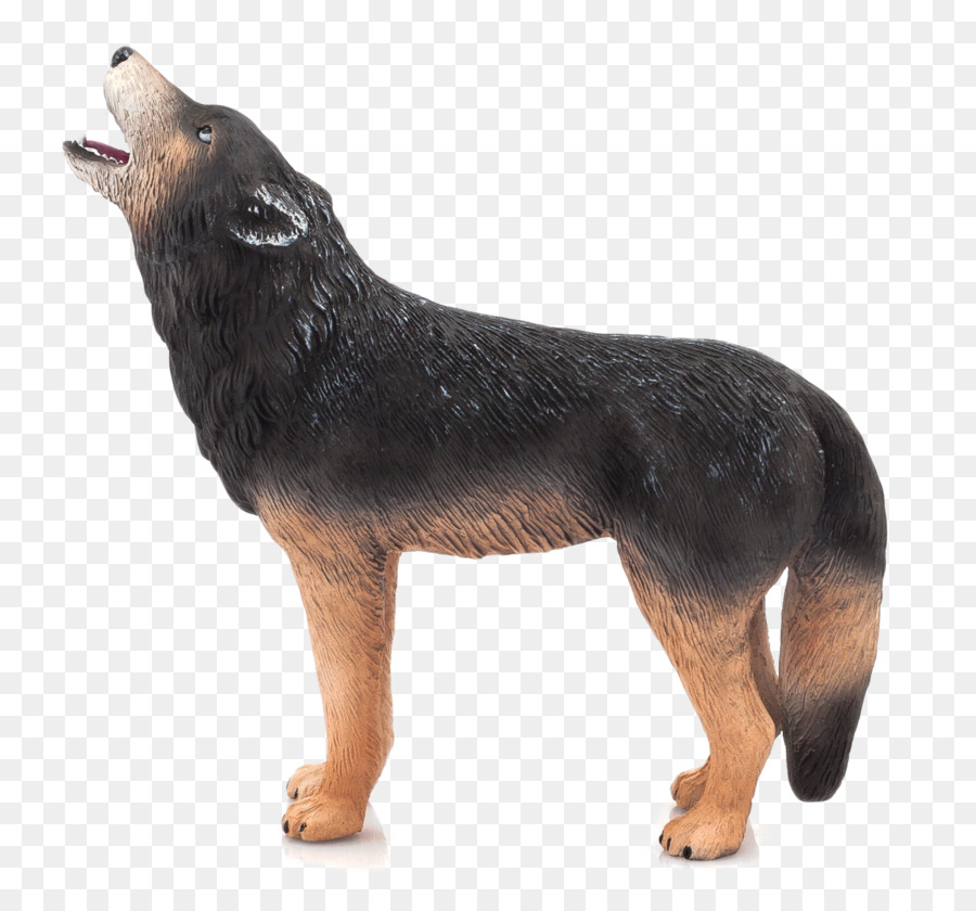 Lobo Uivante，Animais Selvagens PNG