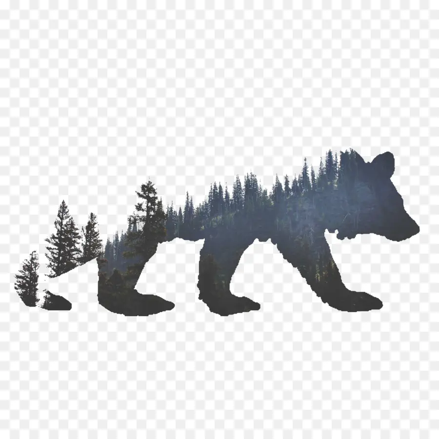 Urso，Americano Urso Preto PNG