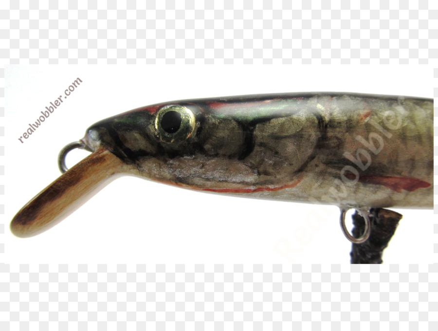 A Pesca De Iscas Iscas，Peixe PNG