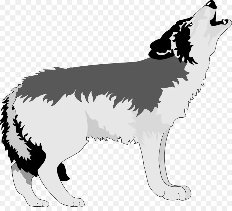 Lobo，Uivando PNG