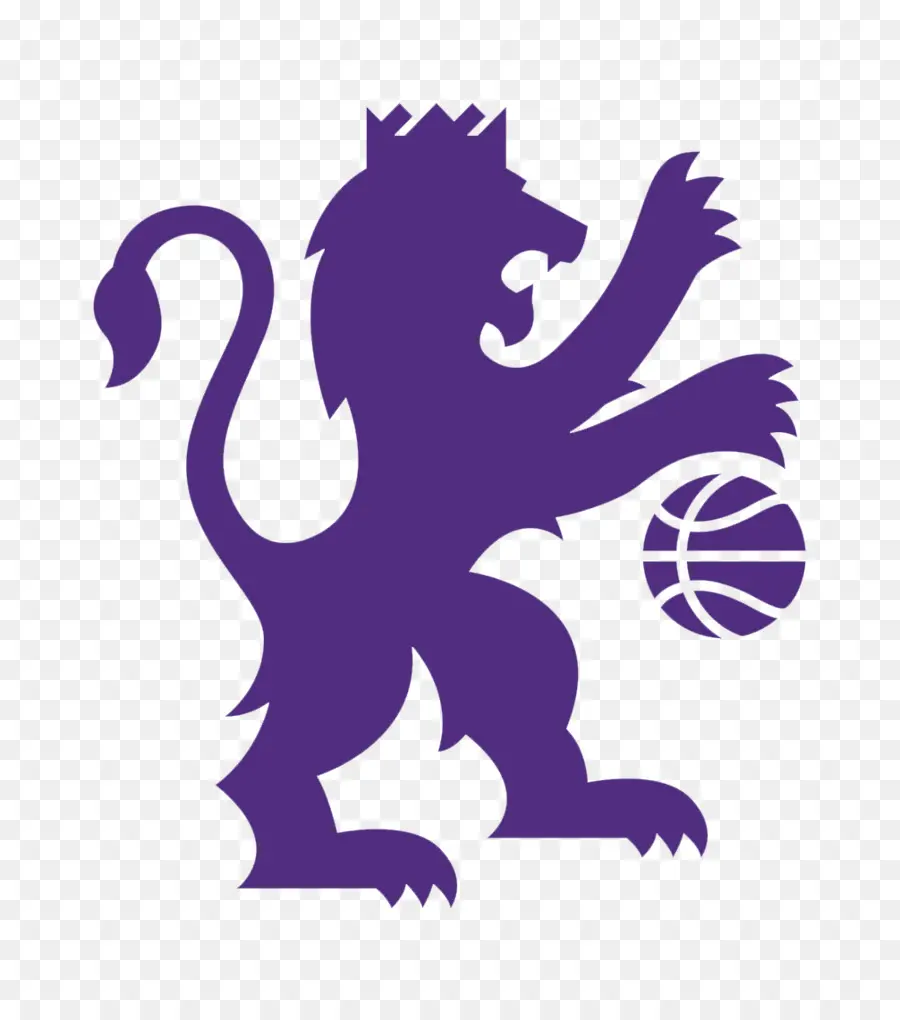 Leão Com Basquete，Animal PNG