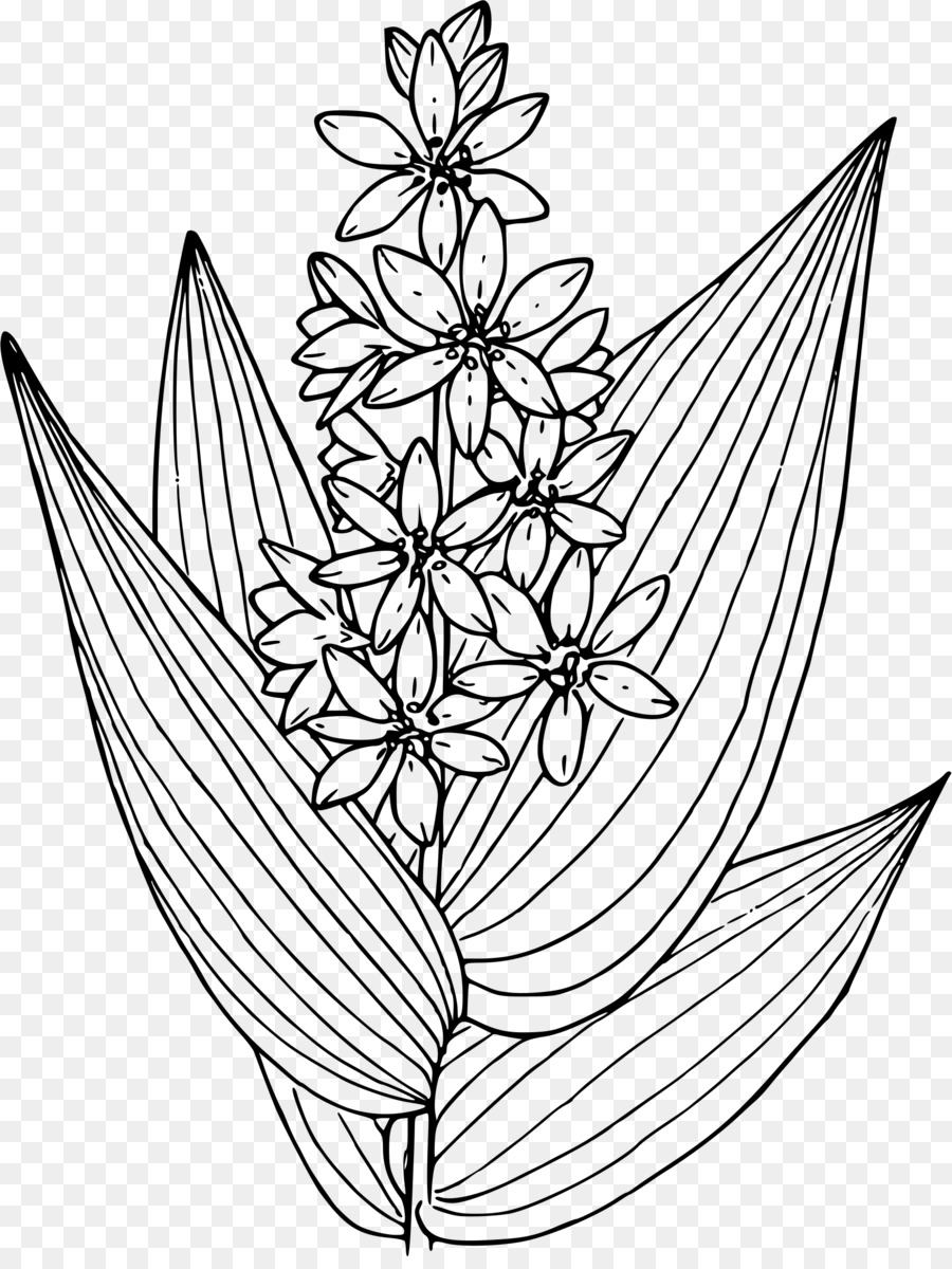 Flor，Florescer PNG