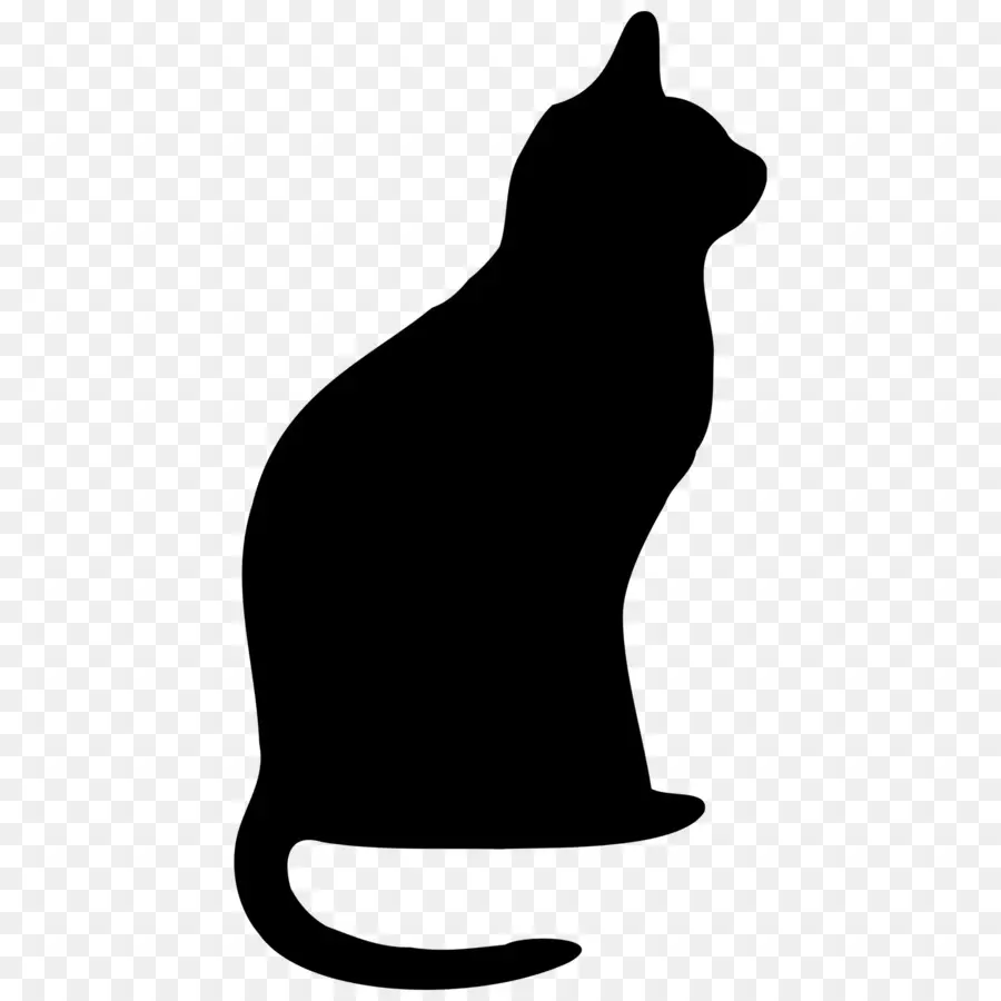 Gato Preto，Silhueta PNG