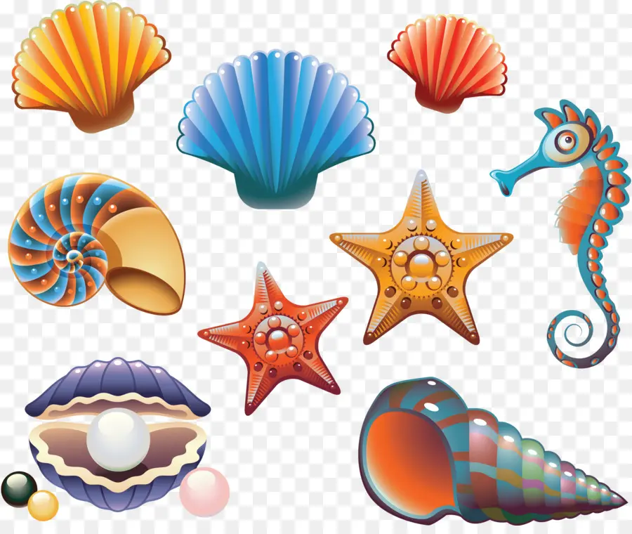 Criaturas Marinhas，Conchas PNG