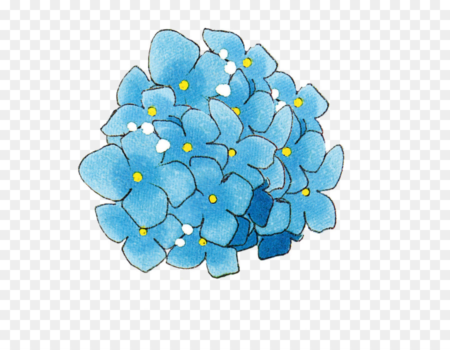 Flores Azuis，Azul PNG