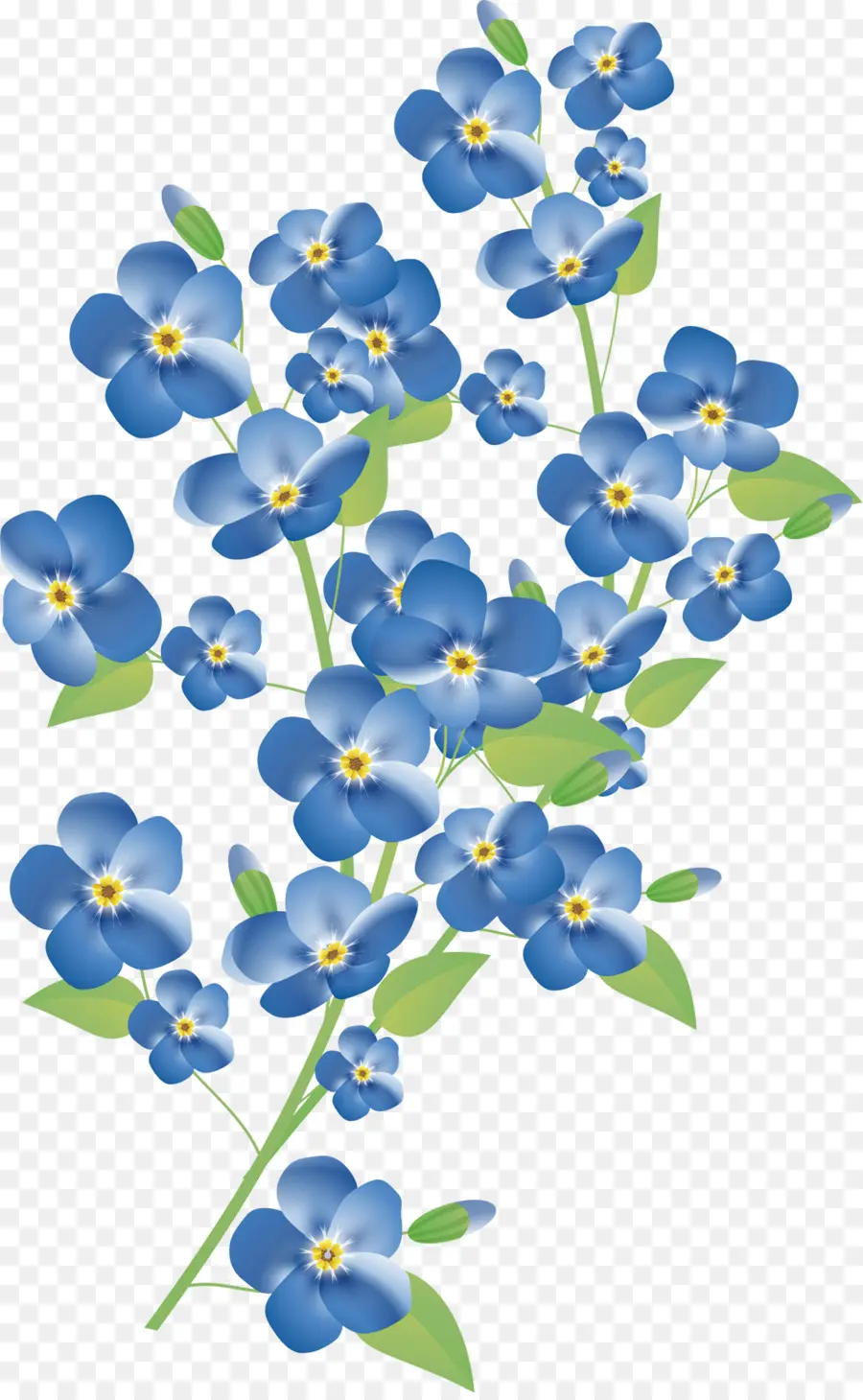 Flores Miosótis，Azul PNG