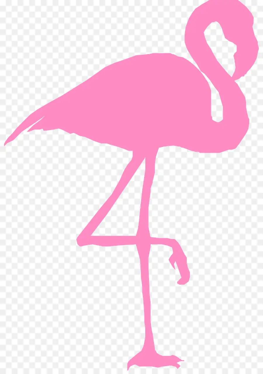 Flamingo Rosa，Pernas PNG