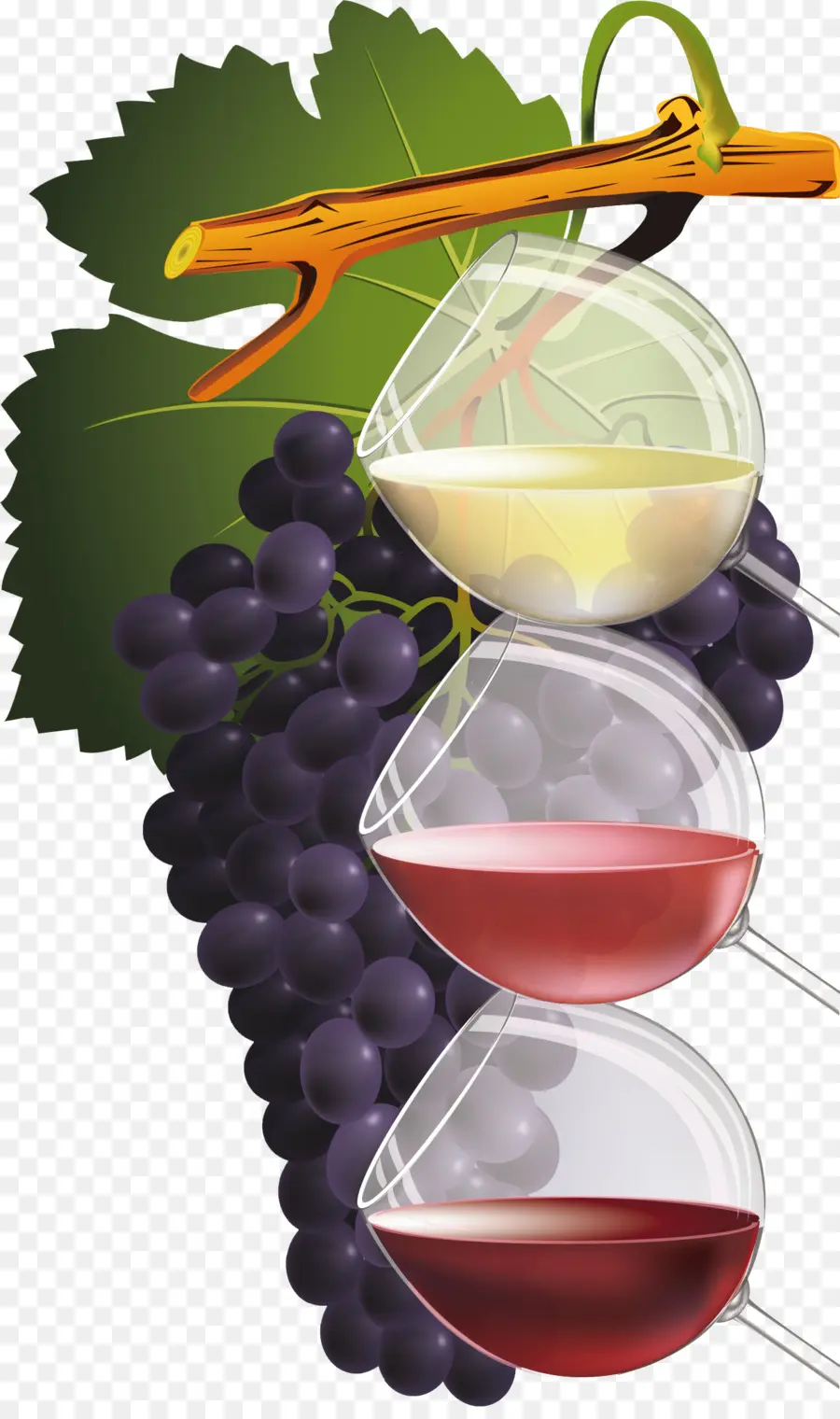 Uvas E Vinho，Vinho PNG