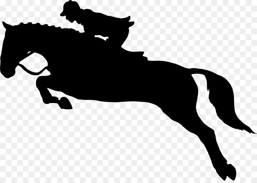 Tennessee andando a cavalo salto equestre, desenhos de boné de formatura,  cavalo, branco, mamífero png