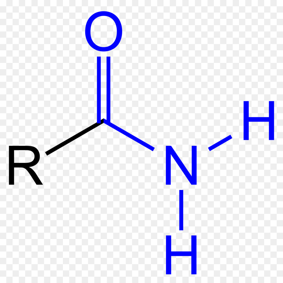 Formula General De Amidas - PMR