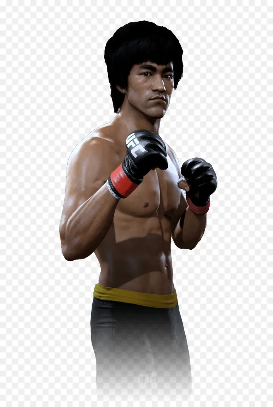 Boxer，Luvas PNG