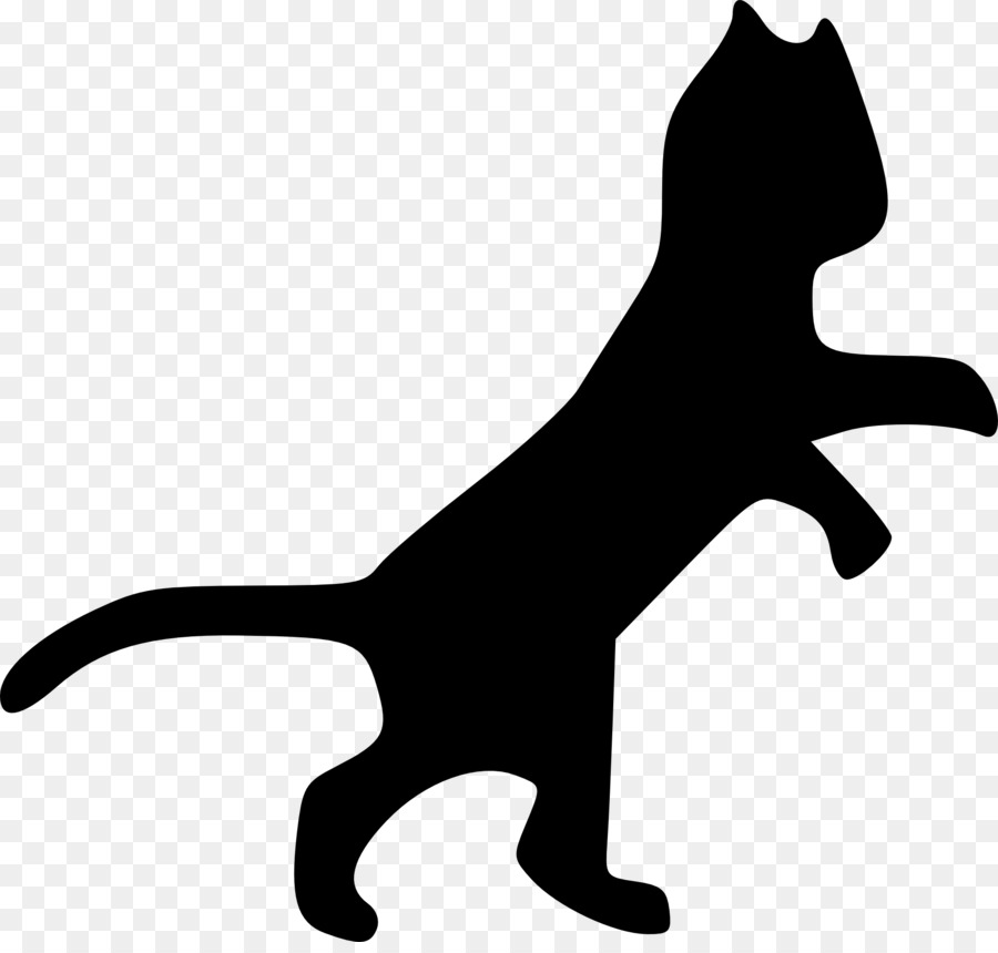 Gato Preto，Felino PNG