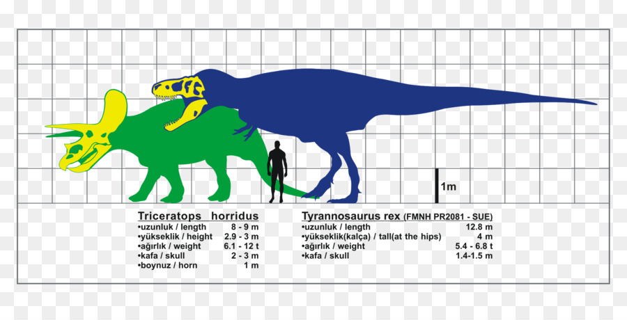 Tiranossauro，Triceratops PNG