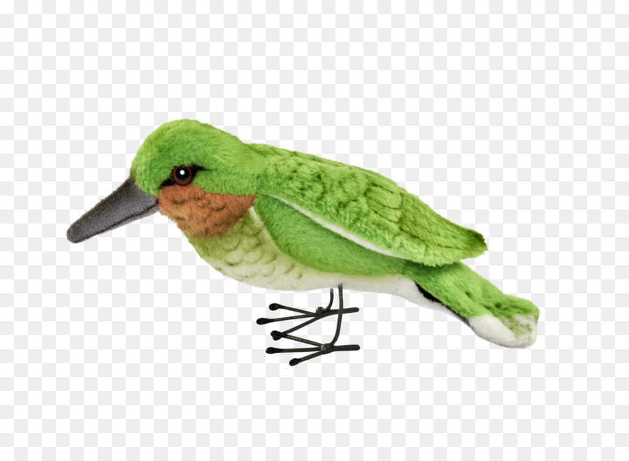 Aves，Beija Flor PNG