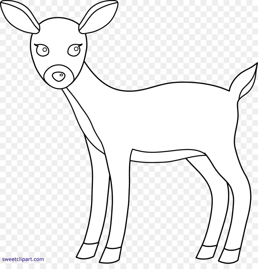 Veado，Whitetailed Veado PNG