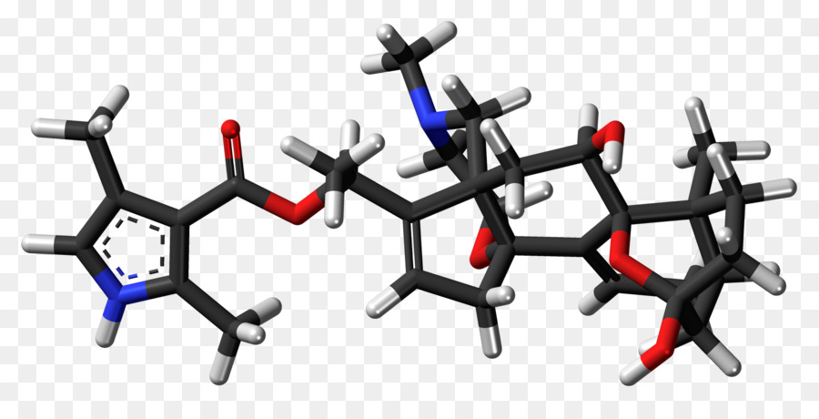 Batrachotoxin，Molécula PNG
