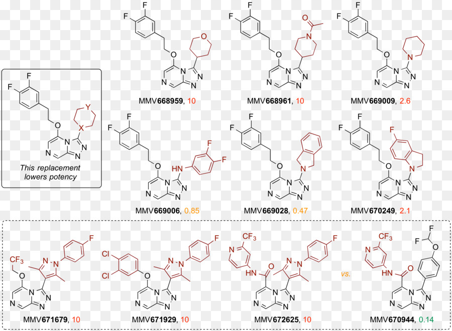 Estrutura Química，Molécula PNG