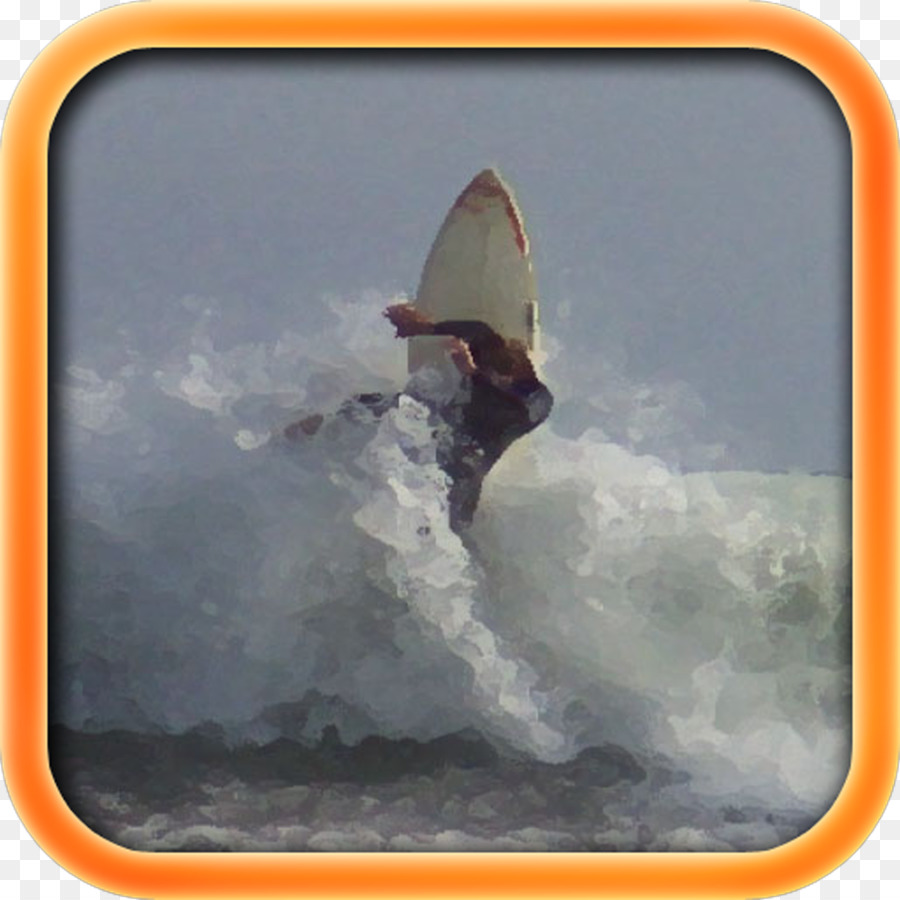 Boardsport，Prancha De Surf PNG