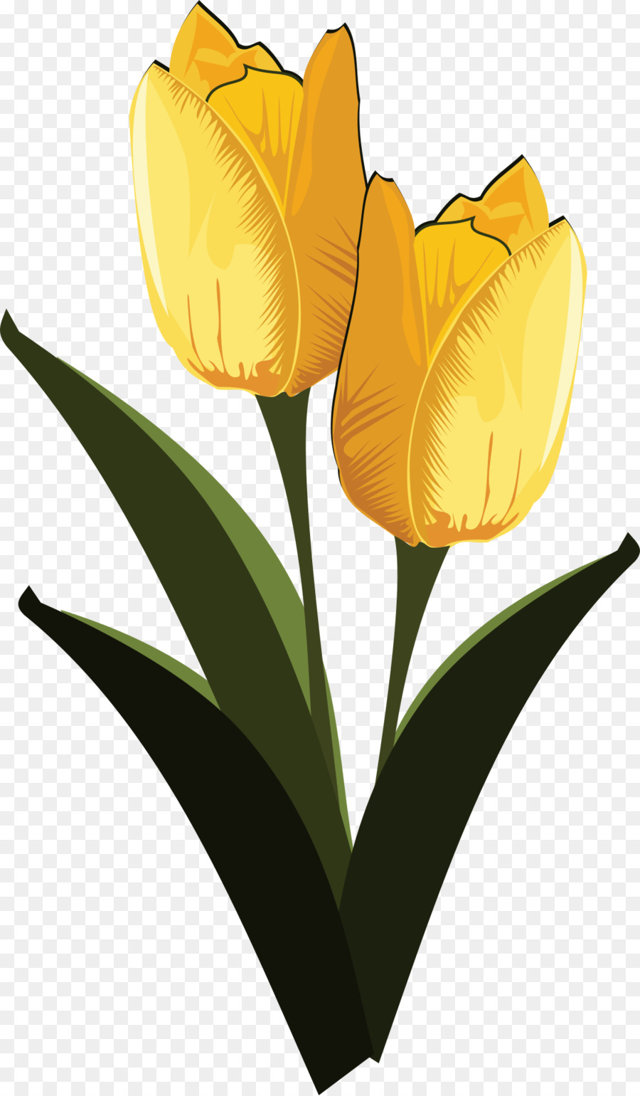 Tulipas Amarelas，Primavera PNG