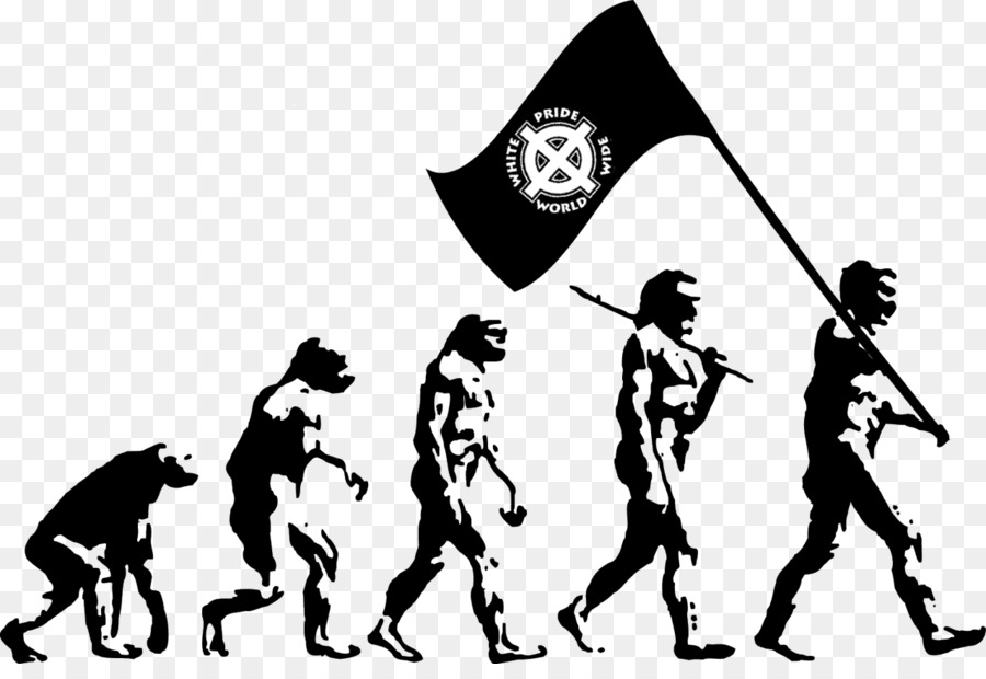 Gráfico De Evolução，Humano PNG