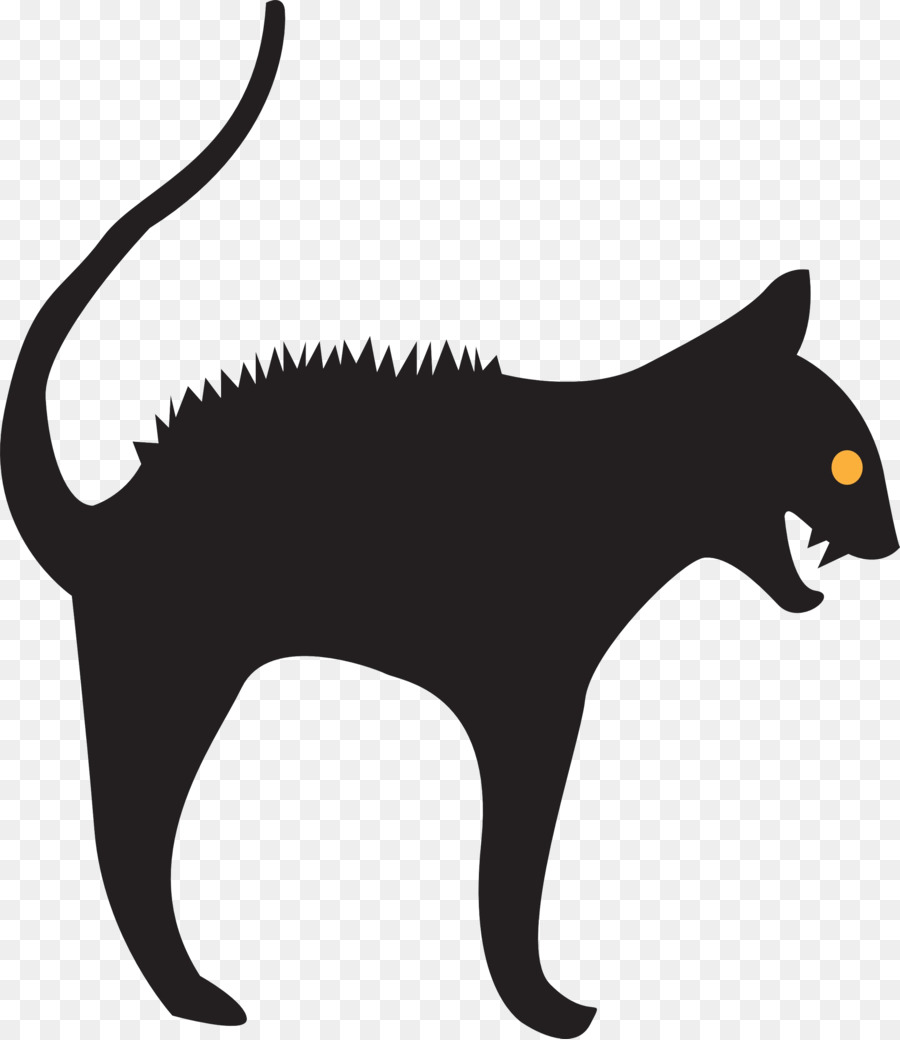 Gato Preto，Felino PNG