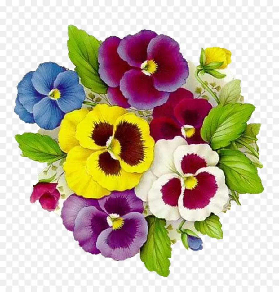 Pansy，Decoupage PNG