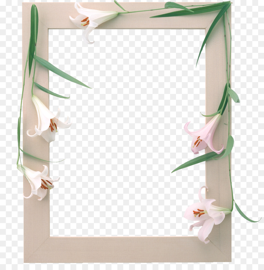 Flor，Lilium PNG