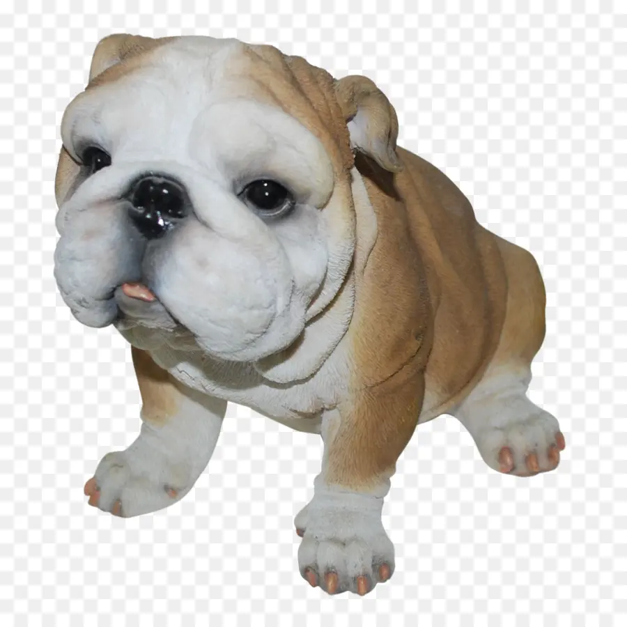 Cachorrinho Buldogue，Cachorro PNG