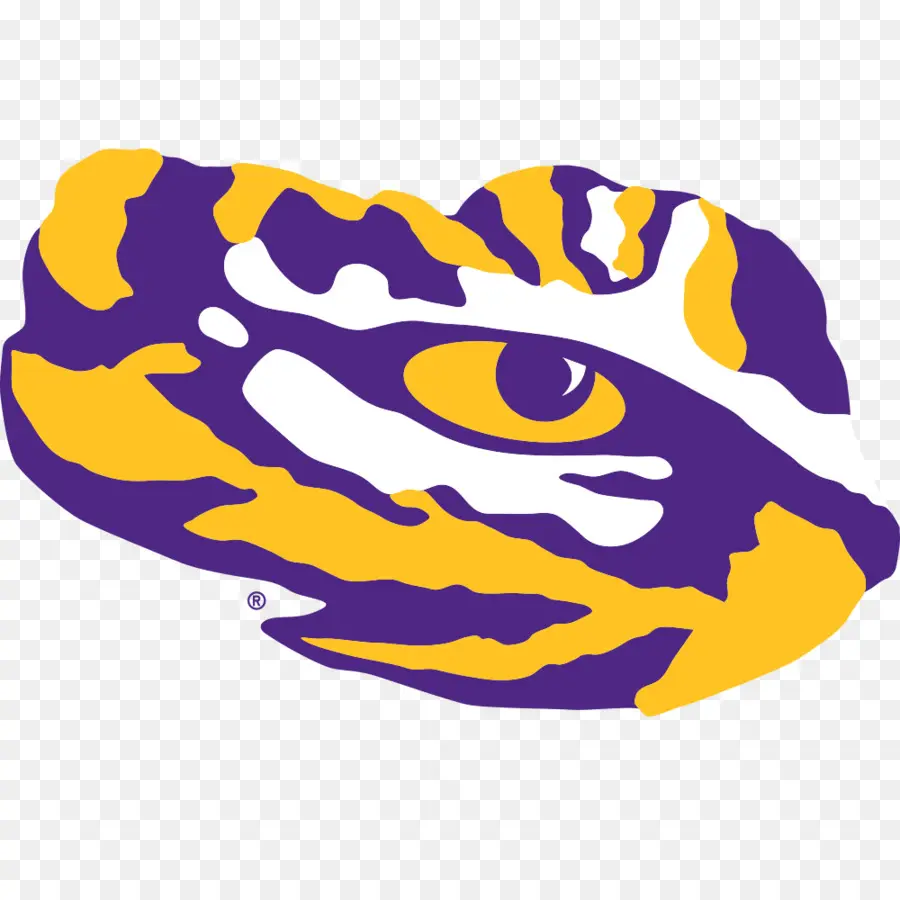 Universidade Do Estado Do Louisiana，Lsu Tigers Futebol PNG