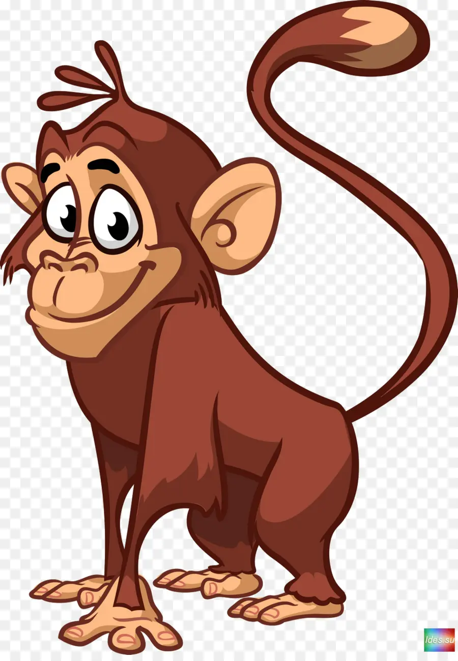 Macaco De Desenho Animado，Sorrindo PNG