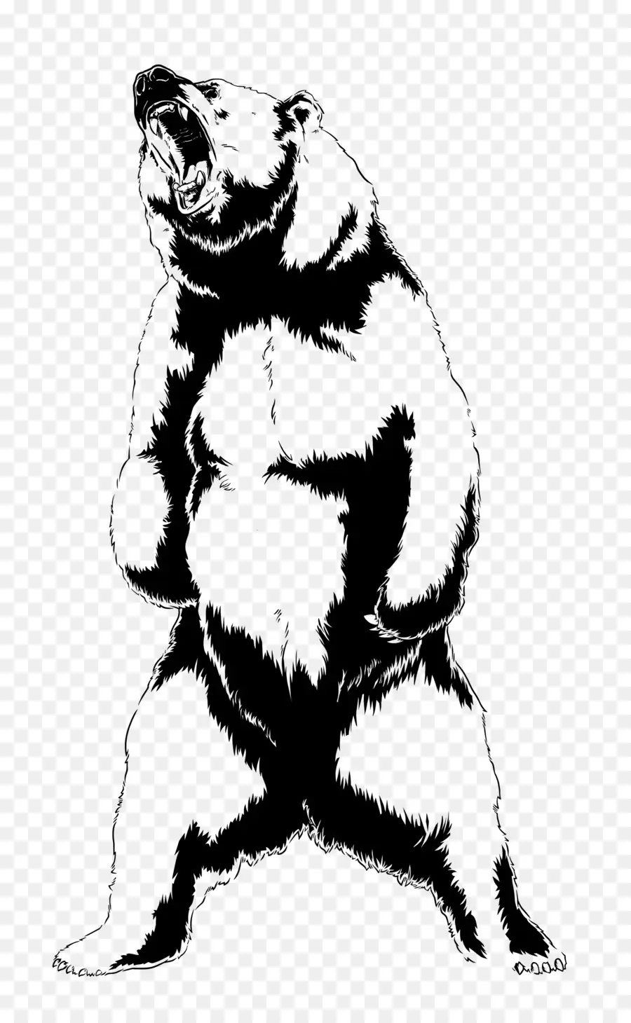 Urso，Rugido PNG