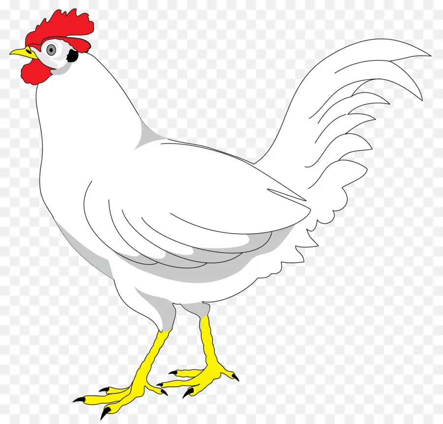 Frango，Amarelo PNG