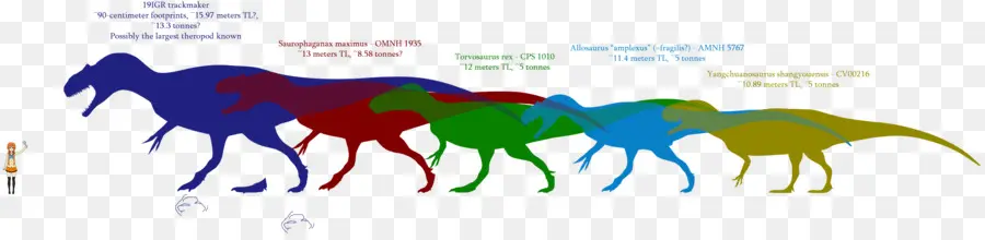 Dinossauros，Pré Histórico PNG