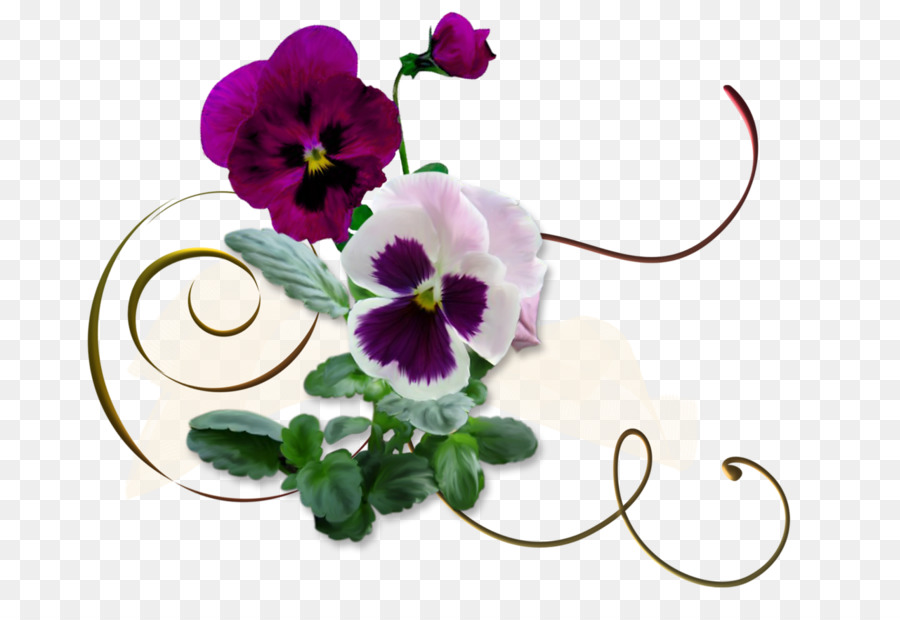 Flores De Amor Perfeito，Florescer PNG