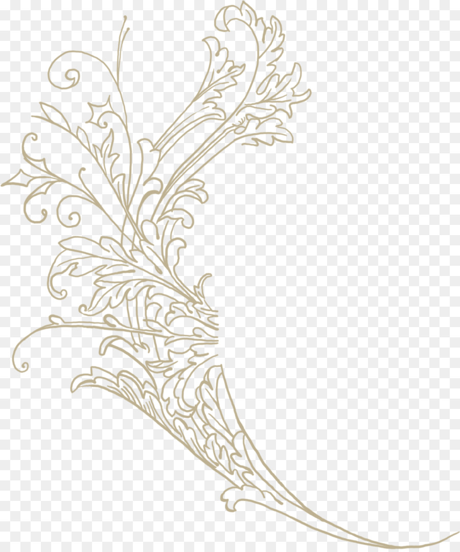 Doodle Floral，Flor PNG