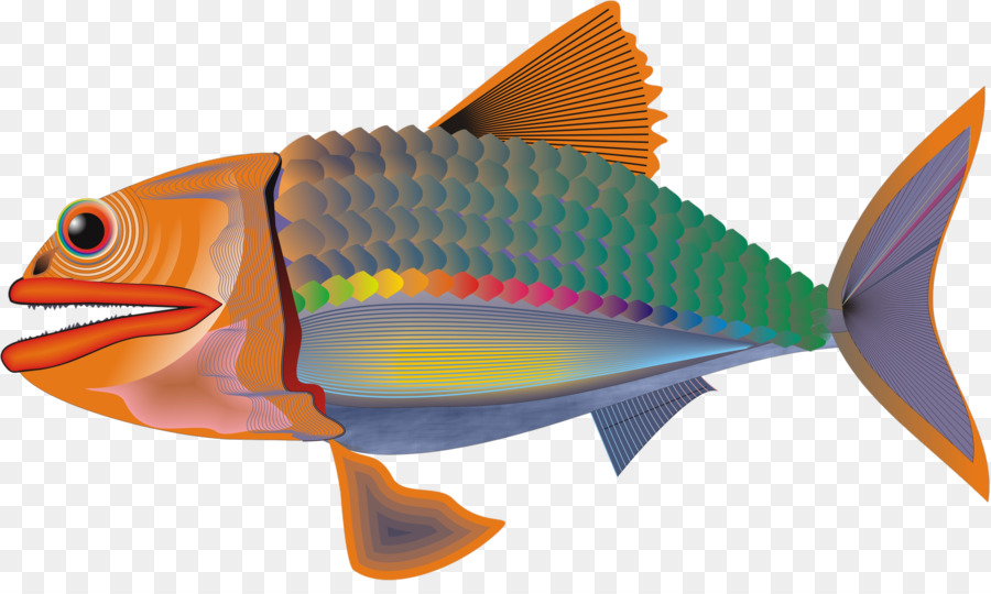 Peixe，Papel De Parede Da área De Trabalho PNG