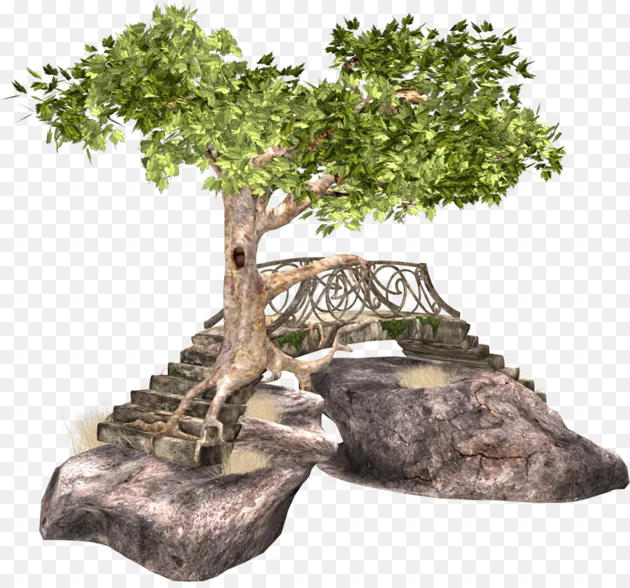 árvore，Ponte PNG